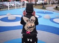 Playboy bunny kurtka